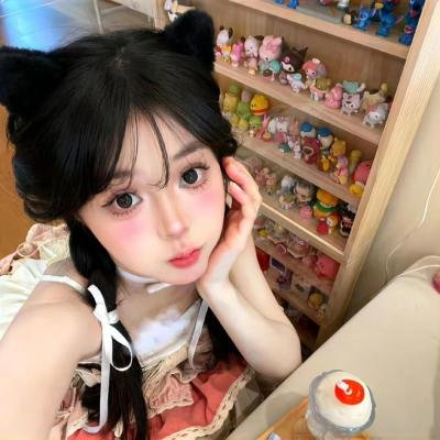 黑之契约者2:流星的双子